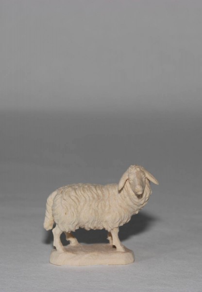 Schaf stehend ca 5,5 cm hoch für Krippenfiguren Größe 11 cm Holz natur AM 52 