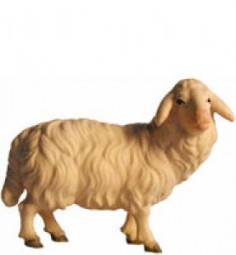 Schaf stehend Krippenfigur Lasiert