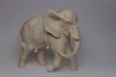 Elefant Natur