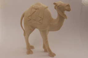 Kamel Natur