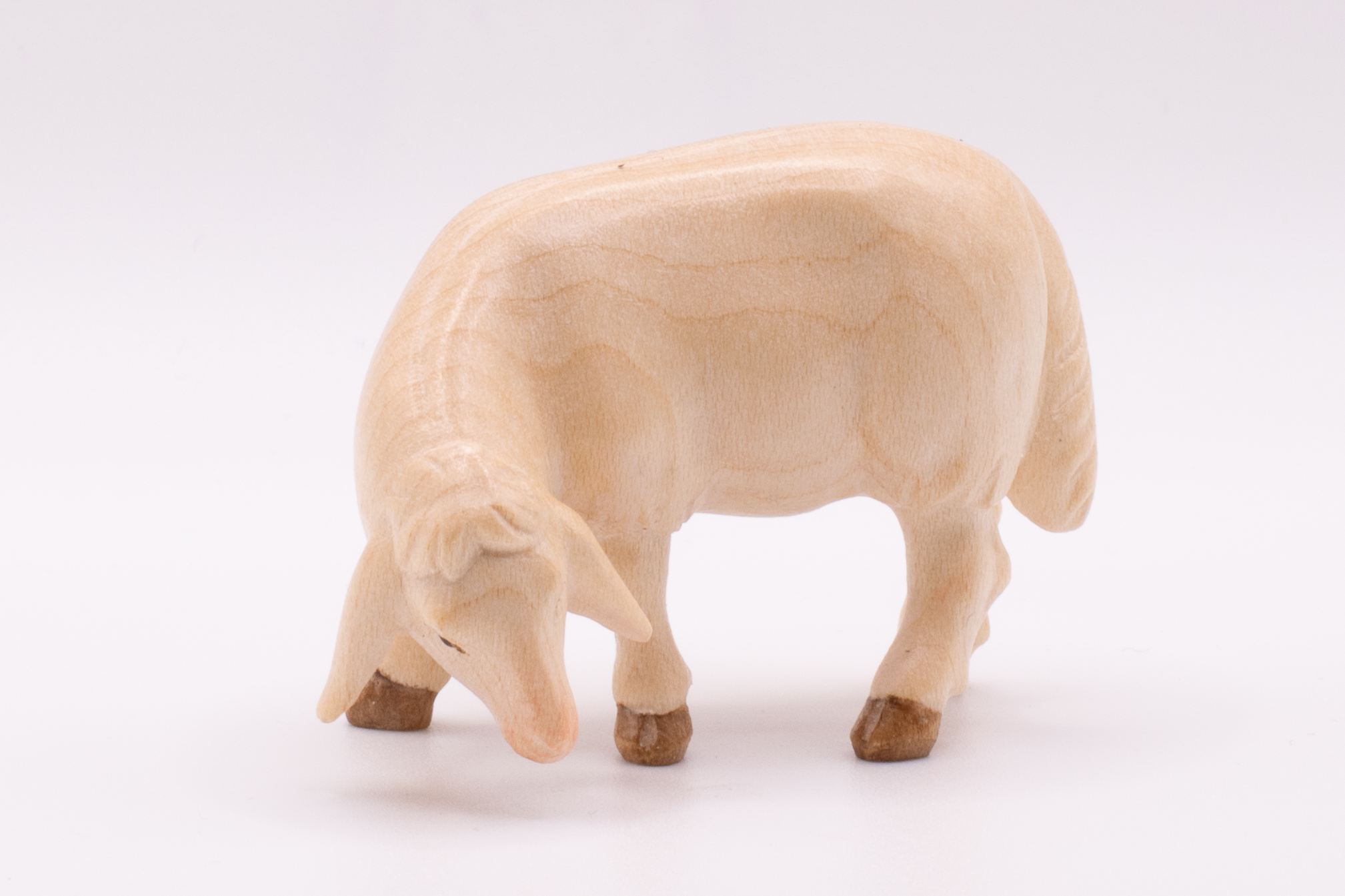 Krippenfigur Schaf grasend, Modern - Bemalt, 14cm