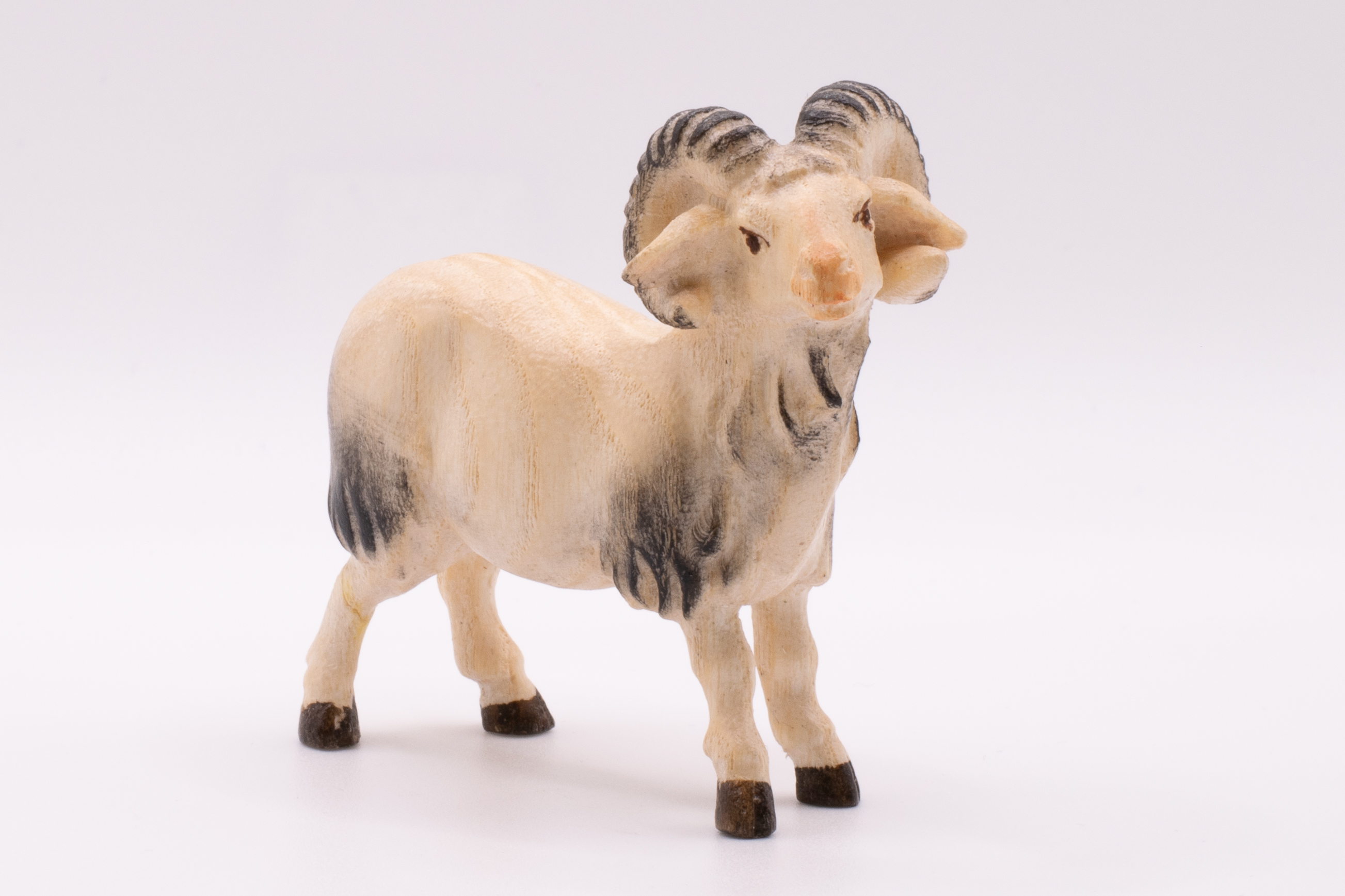 Krippenfigur Schafbock, Modern - Bemalt, 14cm