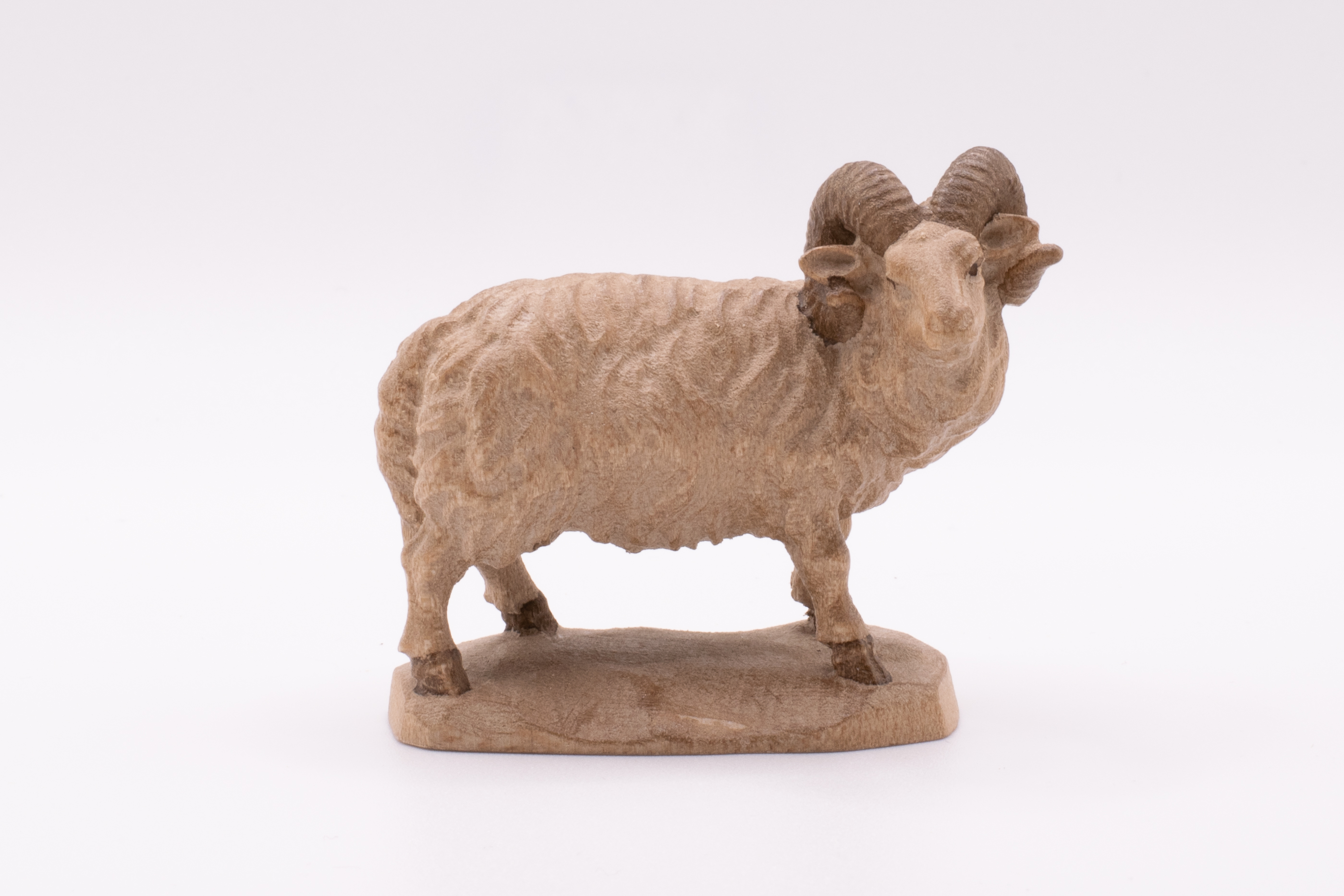 Krippenfigur Schafbock, Barock - Gebeizt, 13cm