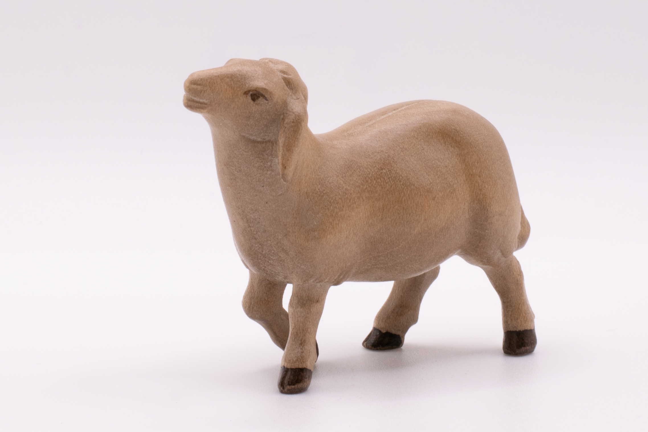 Krippenfigur Schaf stehend, Modern - Gebeizt, 12cm
