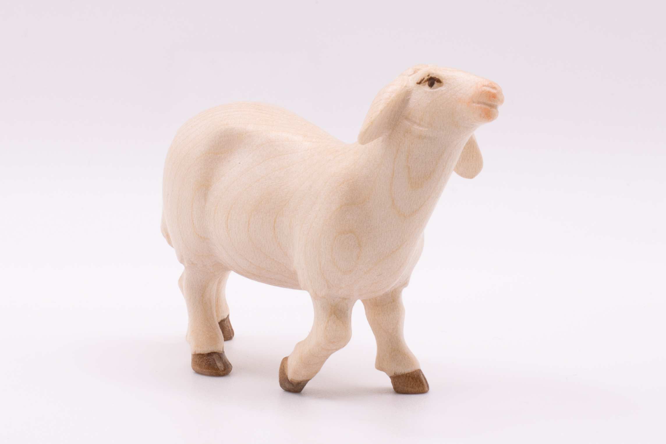 Krippenfigur Schaf stehend, Modern - Bemalt, 14cm