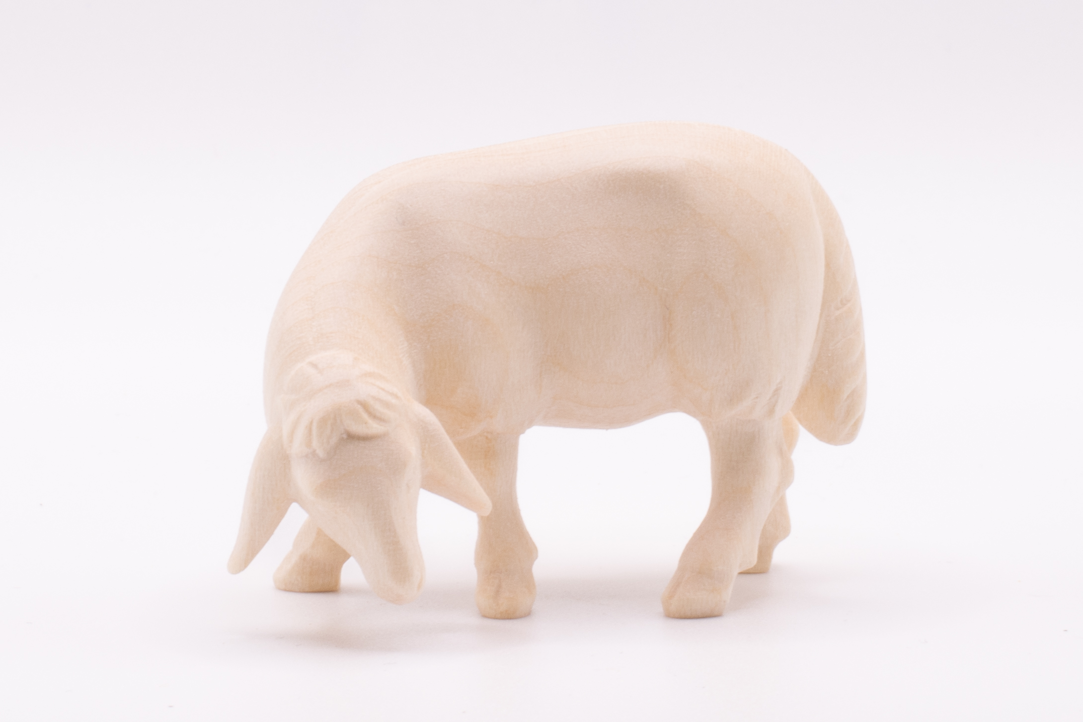 Krippenfigur Schaf grasend, Modern - Natur, 10cm